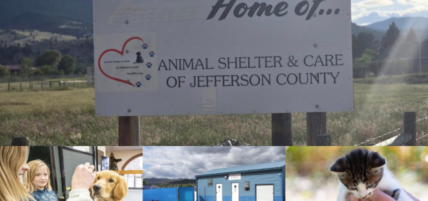 Kids at YBGR's Boulder Group Homes Make a Lasting Impact at Local Animal Shelter