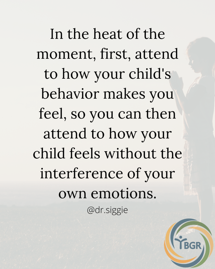 Quote 5 - In the heat of the moment first attend to how your child’s behavior makes you feel