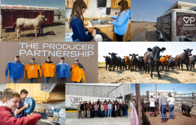 Montana-Raised Beef Now Being Served at the Ranch