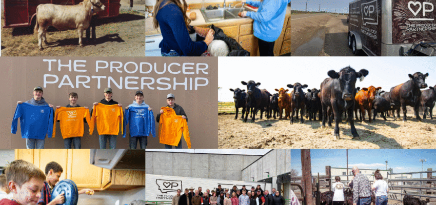 Montana-Raised Beef Now Being Served at the Ranch